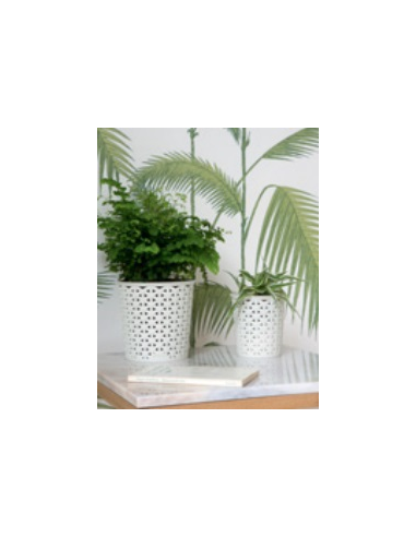 CUBO PORTALAPICES BLANCO