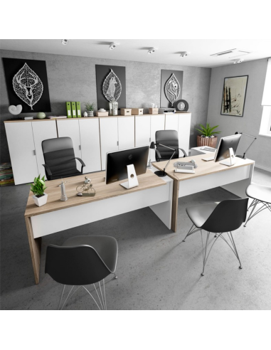 MESA DESPACHO + BUC OFFICE