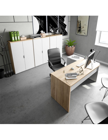 MESA DESPACHO + BUC OFFICE