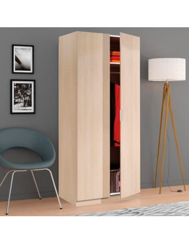 ARMARIO ROPERO LOW COST 2 PUERTAS ROBLE