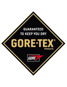 BOTA PIEL CRONOS GORETEX FAL 2