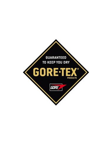 BOTA PIEL CRONOS GORETEX FAL