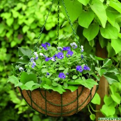 CESTO COLGANTE COCO Y MUSGO 2