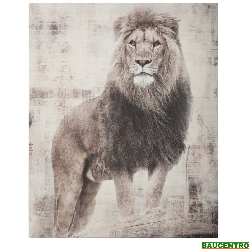 CUADRO LEÓN