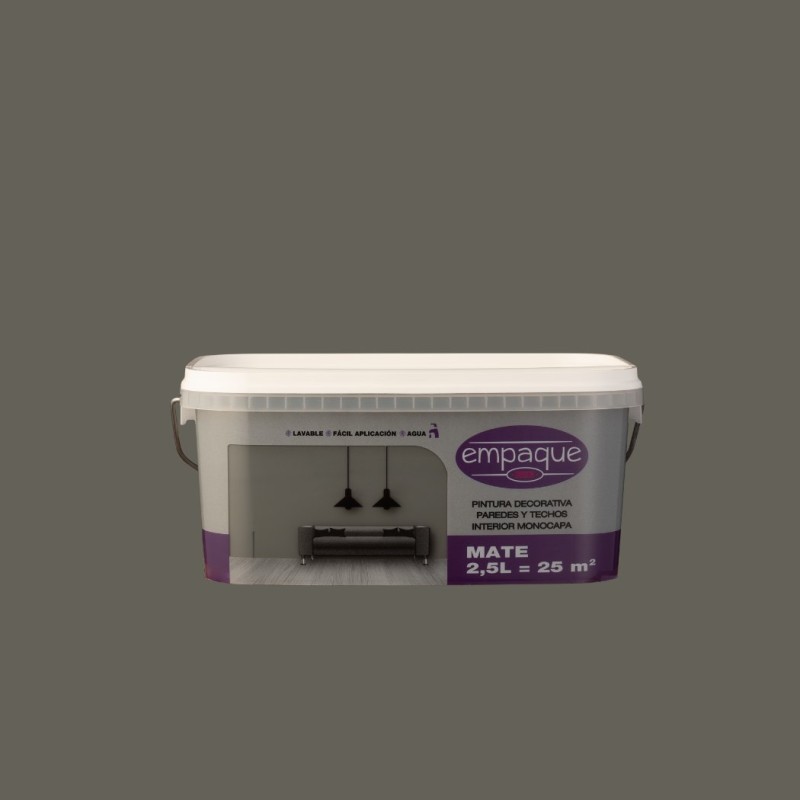 PINTURa 1 CAPA GRIS INTENSO CPP