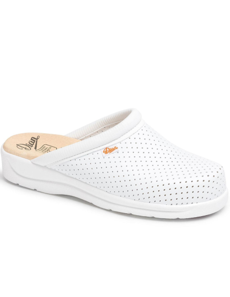 ZUECO ABIERTO BLANCO DIAN