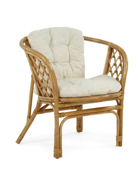 CONJUNTO NEW BAHAMAS