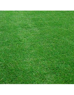 CÉSPED ARTIFICIAL ROLLO 2x5m. 20mm. 2