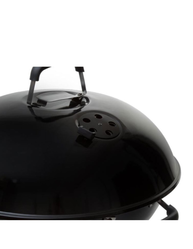 BARBACOA CARBÓN BISCA