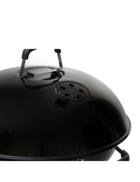 BARBACOA CARBÓN BISCA