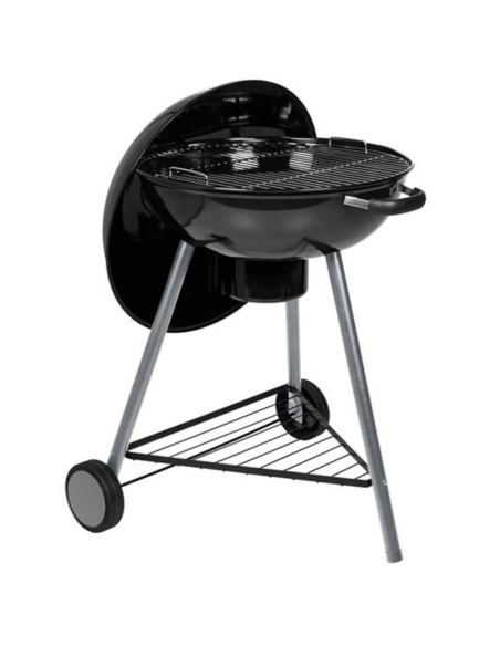 BARBACOA CARBÓN BISCA