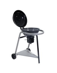 BARBACOA CARBÓN PYLA