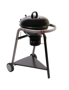 BARBACOA CARBÓN PYLA 2