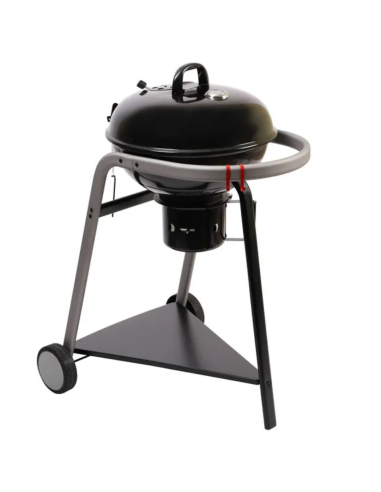 BARBACOA CARBÓN PYLA