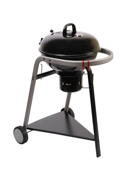 BARBACOA CARBÓN PYLA