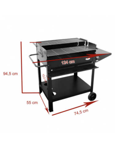 BARBACOA CARBON-LEÑA XL