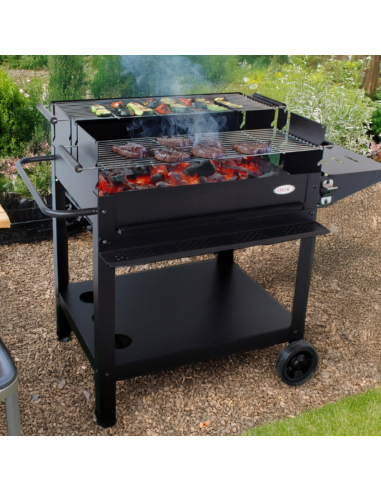 BARBACOA CARBON-LEÑA XL