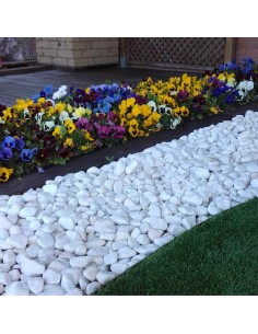 CANTO PIEDRA BLANCO GRANDE 40-60 2