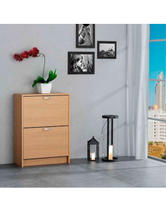 ZAPATERO 2 PUERTAS ROBLE CLARO 2