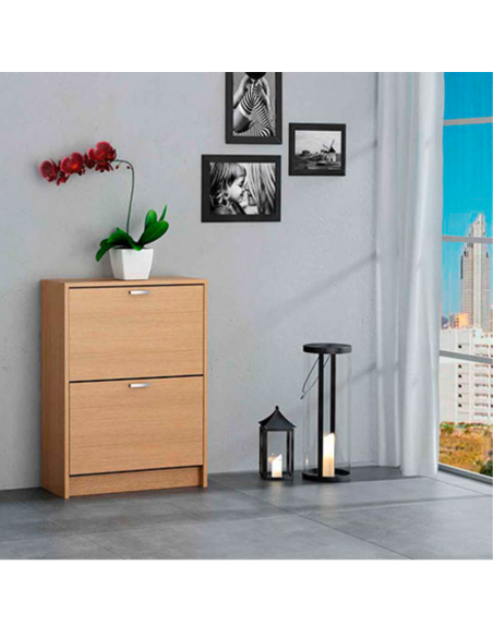 ZAPATERO 2 PUERTAS ROBLE CLARO